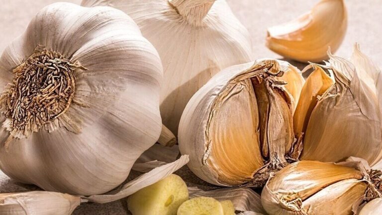 Garlic and Cancer: రోజూ వెల్లుల్లి తింటే క్యాన్సర్ రాకుండా జాగ్రత్త పడవచ్చు